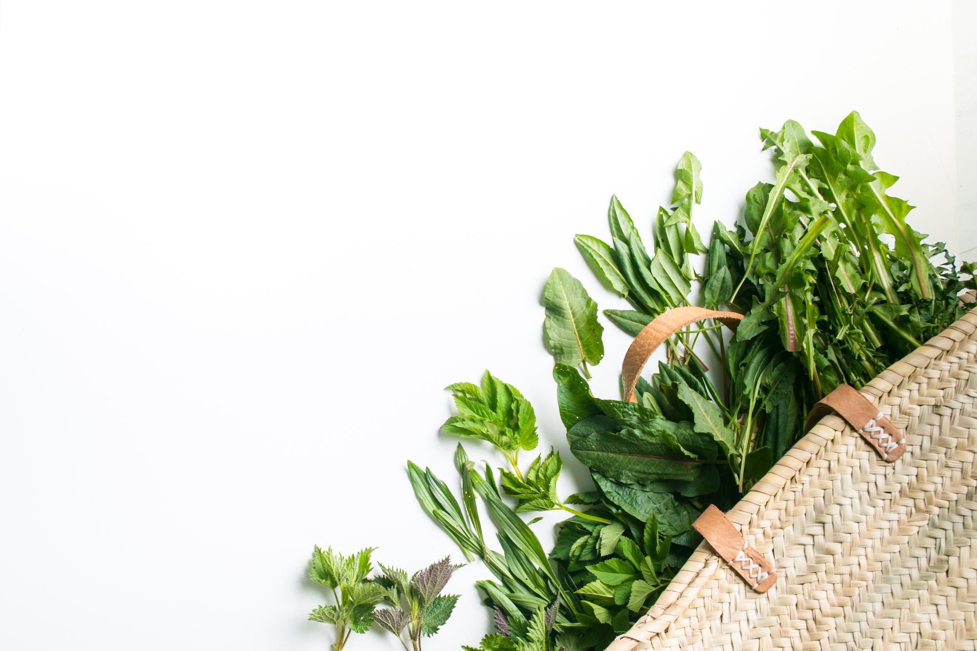 Close-up of fresh herbs and ingredients